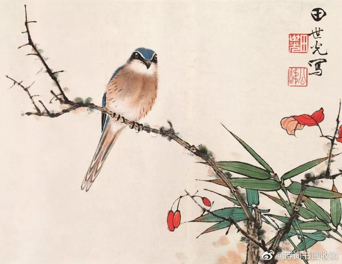 田世光笔下的花鸟，清新脱俗、赏心悦目|田世光|工笔|花鸟画