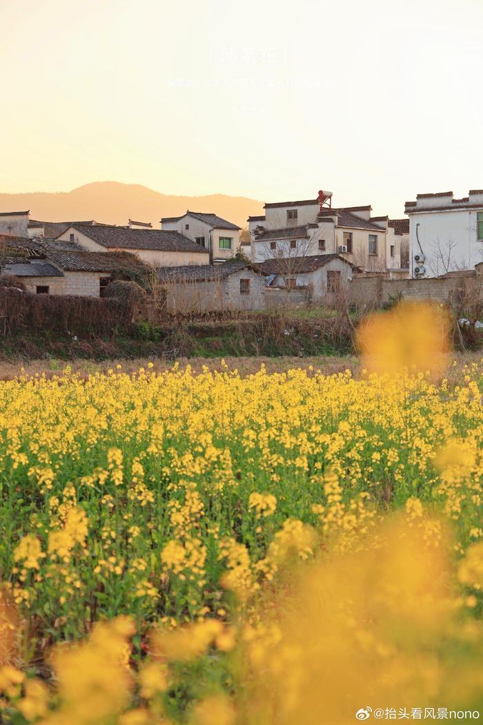 黄山黟县南屏古村图片