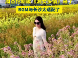 湖南小姐姐请就位！周杰伦新歌《湘女多情》来了，BGM与长沙太适配了