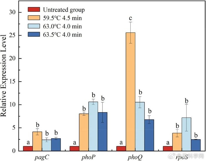 浙江大学丁甜教授通过温和加热诱导液态蛋