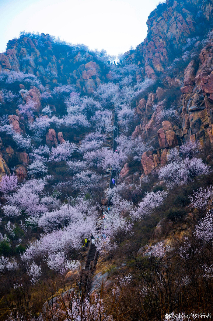 3月24日徒步北京七王坟东大坨大风口凤凰岭白虎涧下午下起了雨