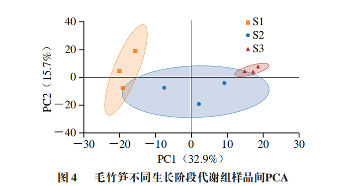 浙江农林大学应叶青教授等基于uplcmsms的毛竹笋不同生长阶段差异