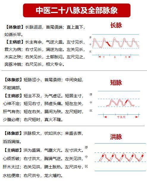 二十八脉的示意图图片