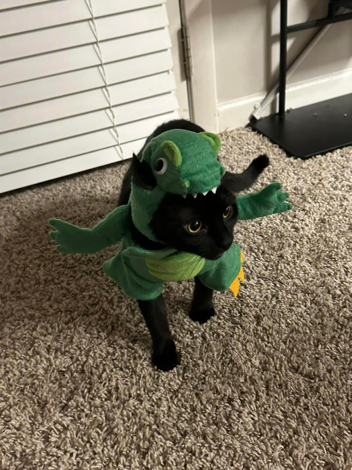 (nadia lemus)__财经头条