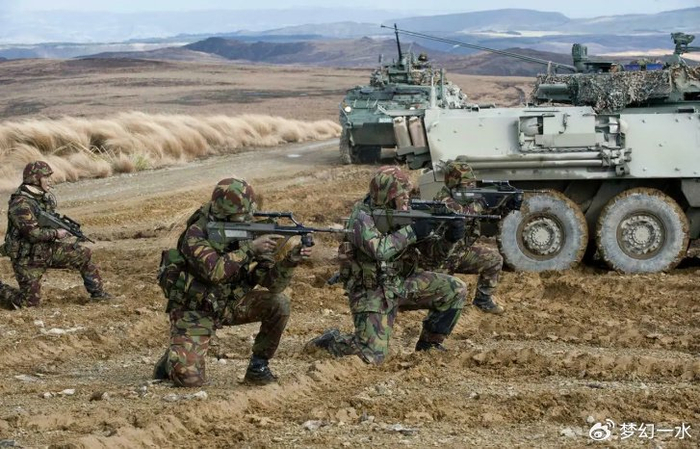 合成营编制:三个装甲步兵连,两个坦克连,一个炮兵连,一个作战支援连
