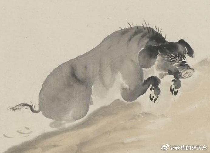 颇有意思的古画 猪图.清代王素/台北故宫博物院