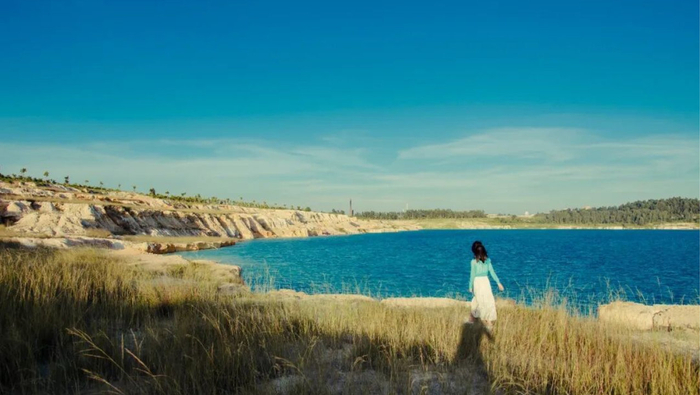 看完《风会记得一朵花的香》，我抚平了2025所有的不顺