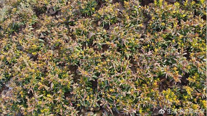 老了才明白，这辈子最暖心的，终究不过这三个人