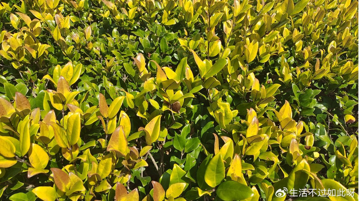 人老了，有五种行为要避免