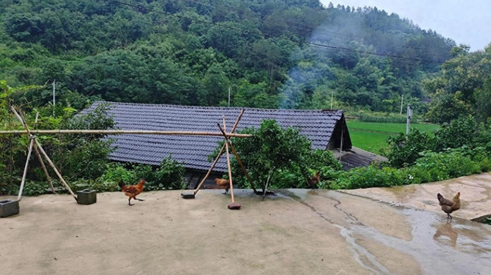 不出意外的话，农村很多家庭都是最后一代了，无法延续香火了