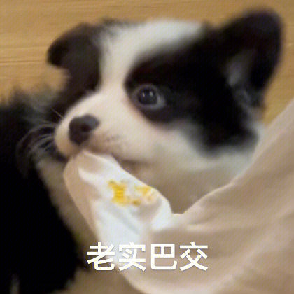 最近存的一些表情包