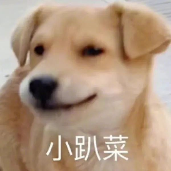 超级喜欢的表情包送给你们 拿图请顺便吱一声 很难有动力发图了