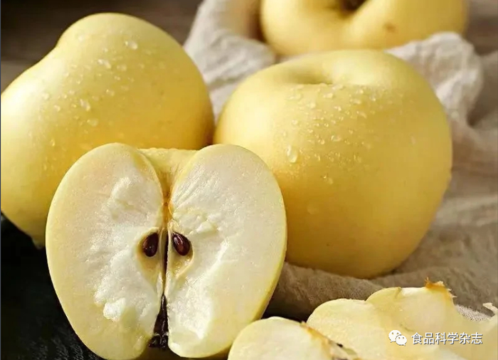 果实表面真菌和内生细菌与内生真菌群落进行分析,探究低温等离子体对