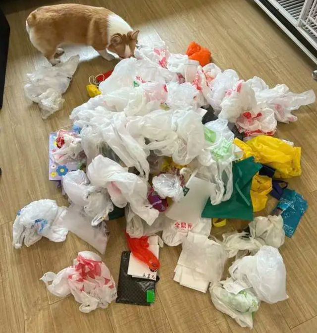 这10种东西都是「垃圾」,别在家里囤了!