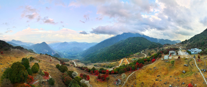 一月之内三次上永德大雪山拍马缨花的记录