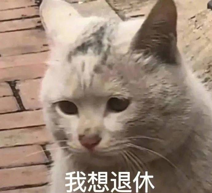 精选表情包我想退休拿图点赞吱声