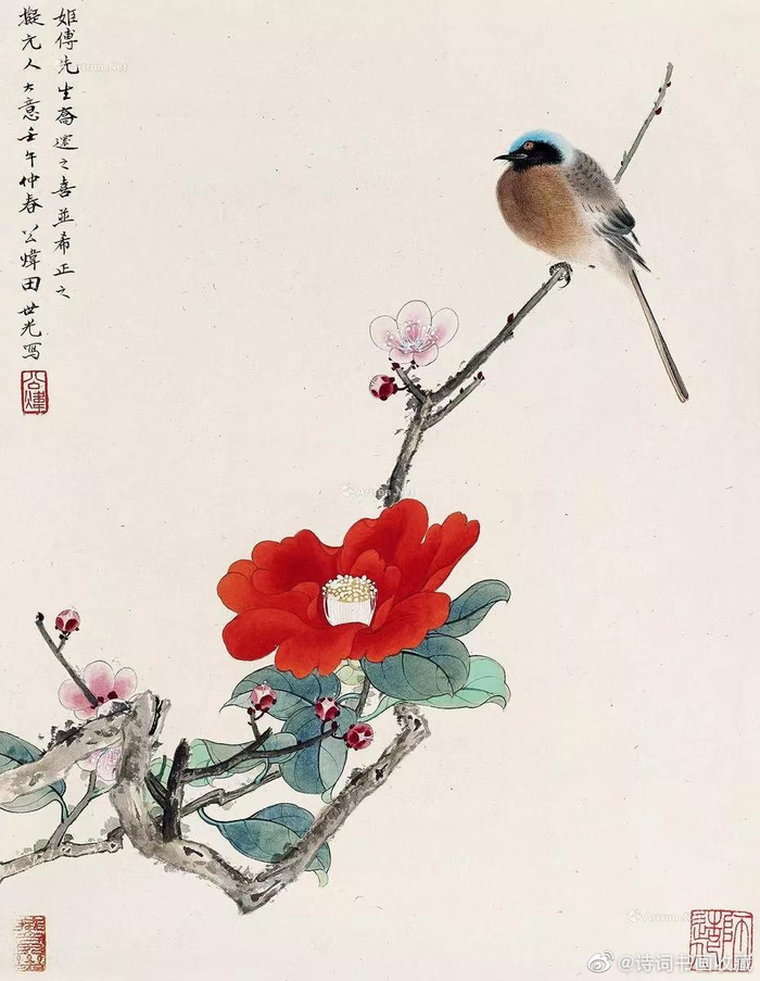 田世光笔下的花鸟，清新脱俗、赏心悦目|田世光|工笔|花鸟画