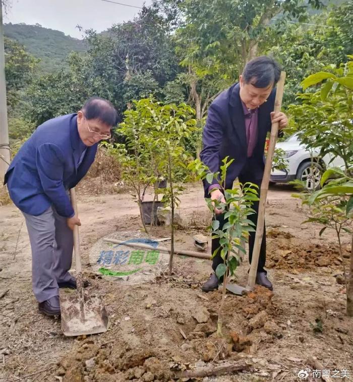 电白：马最良、张晓武一行到访沉香山参观考察