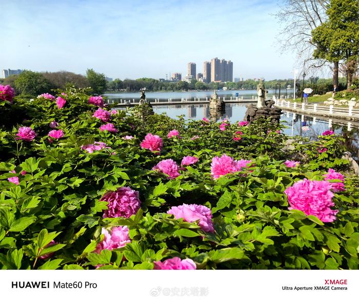 菱湖风景区图片