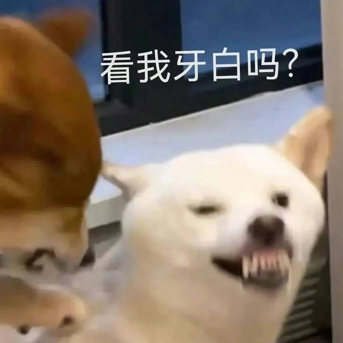 表情包 | 真的吗!真的吗! 拿图点赞、吱声|表情包