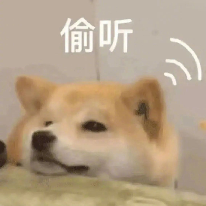 搞笑表情包大赏,欢乐不停歇!