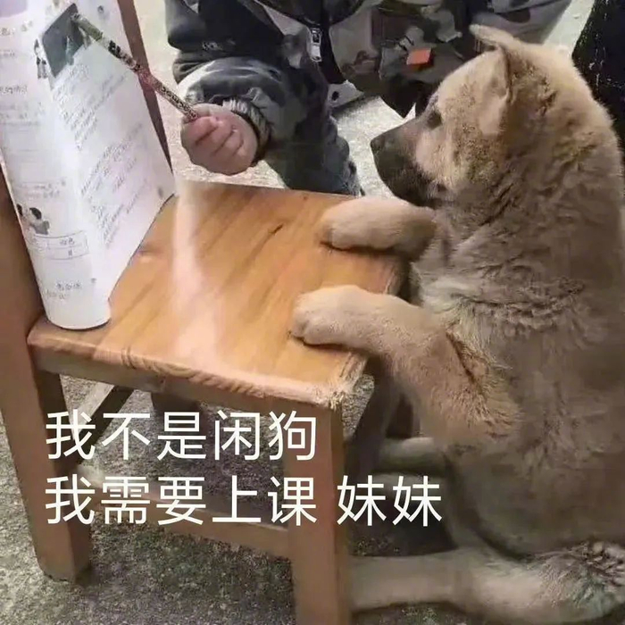 表情包,沙雕也可爱!