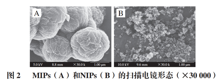 南京财经大学杨文建教授等双模板分子印迹材料固相萃取高效液相