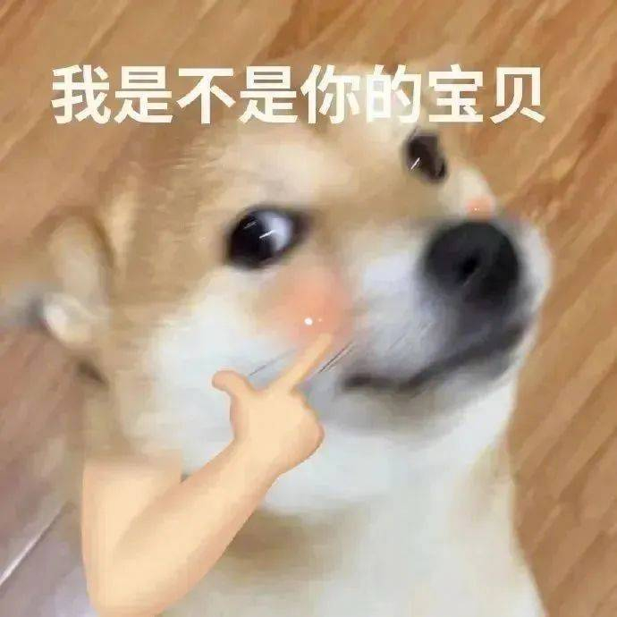 表情包 | 自己人不客气 拿图点赞、吱声