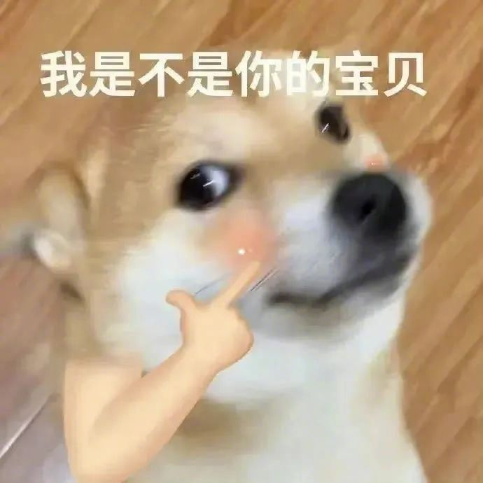 沙雕可爱表情包不快乐