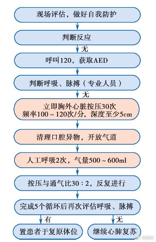 關於心肺復甦發展及心肺復甦核心內容知識點|急救||心