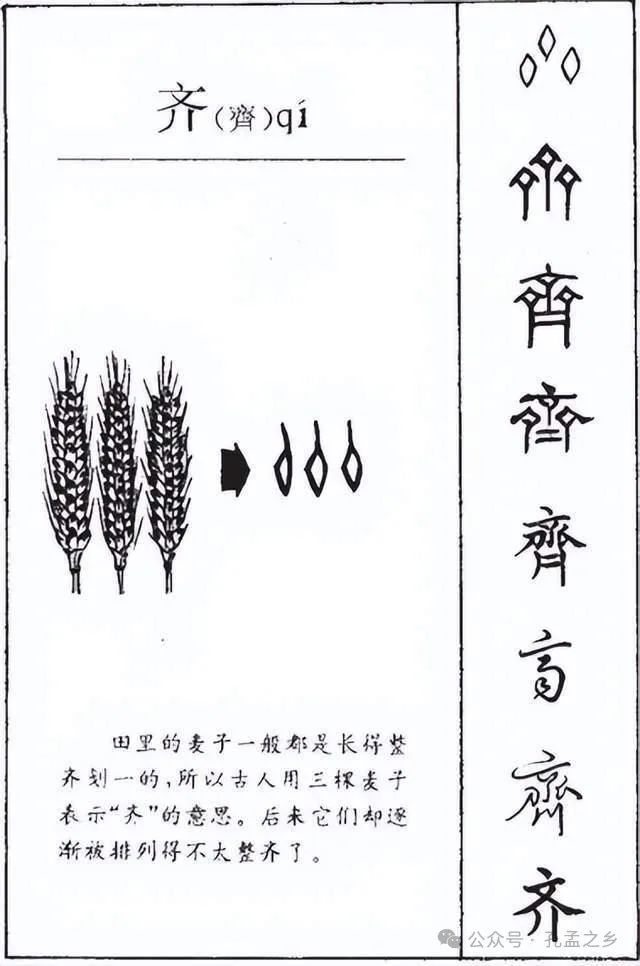 解字溯源“齐”与“鲁”|姬旦|甲骨文|鲁国|齐国|曲阜_新浪新闻