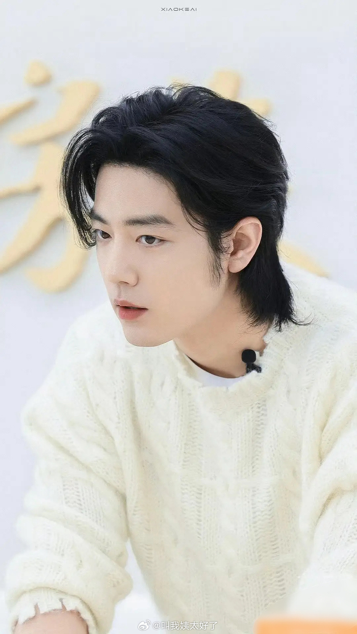 男明星狼尾合集和谁的气质最适配