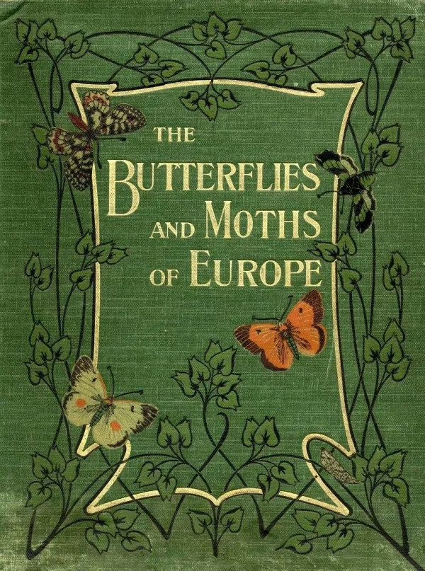 绿色系精致古董书封面