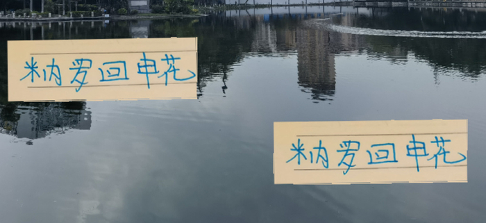 马莱莱的接班人米内罗回申花 联赛指望不上他了 只能看亚冠