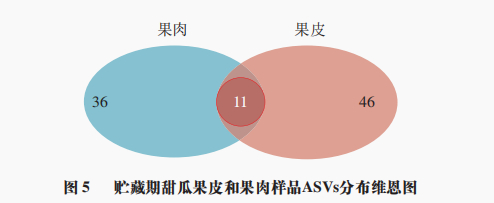如图7所示,贮藏0 d时,刚采摘成熟的果实较新鲜,营养较丰富,附球菌属