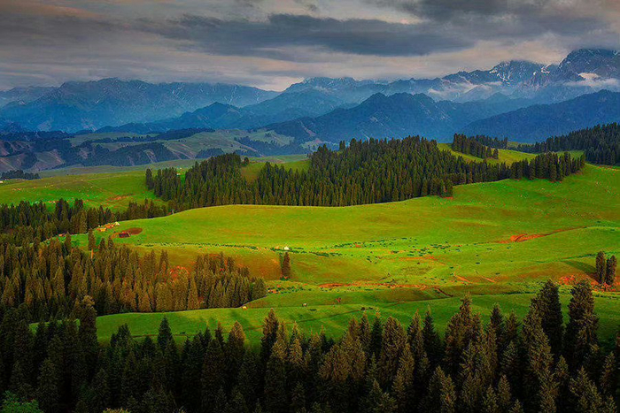 人间的天堂,江布拉克大草原!