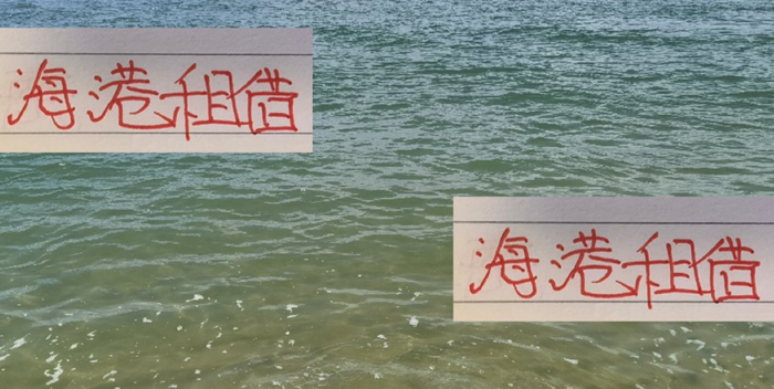 这两年来海港租借球员都没有转正 明年巴西“张飞”能转正成功吗