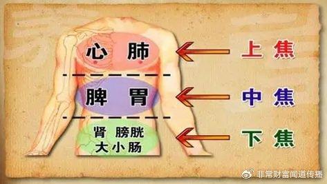 中醫al機器人問世,張仲景頂呱呱的白通湯|張仲景|中醫|乾薑_新浪新聞