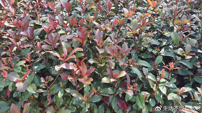 晚年独居，一个人该怎么过？