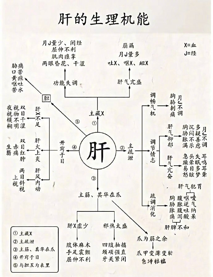 肺肝心肾脾的生理机能|机能|生理_新浪新闻