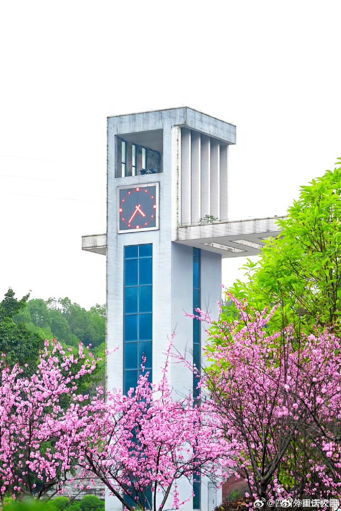 四川外国语大学 67川