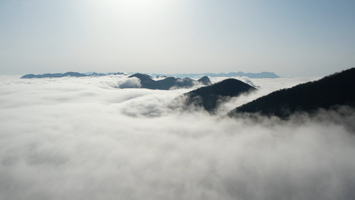 桑植高山云海壮美如画|云海_新浪新闻