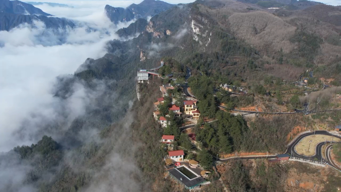 桑植高山云海壮美如画|云海_新浪新闻