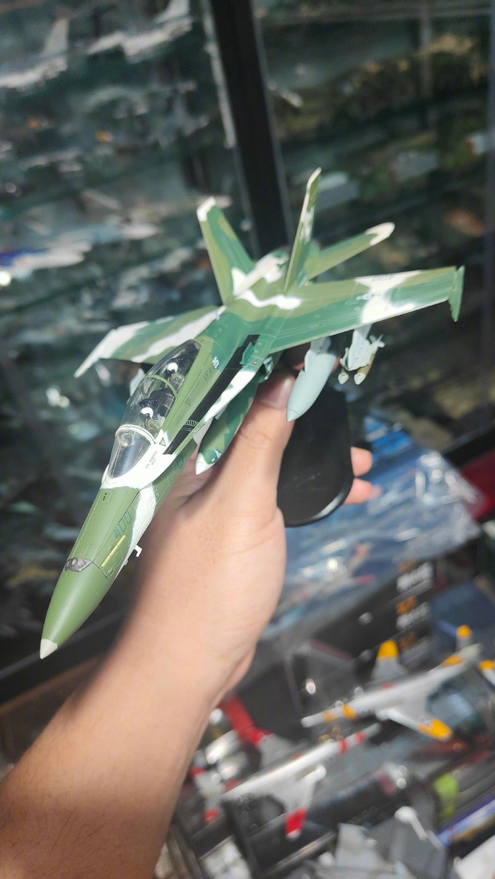 f/a-18b狂暴突击者小虫子很奇怪的迷彩__财经头条