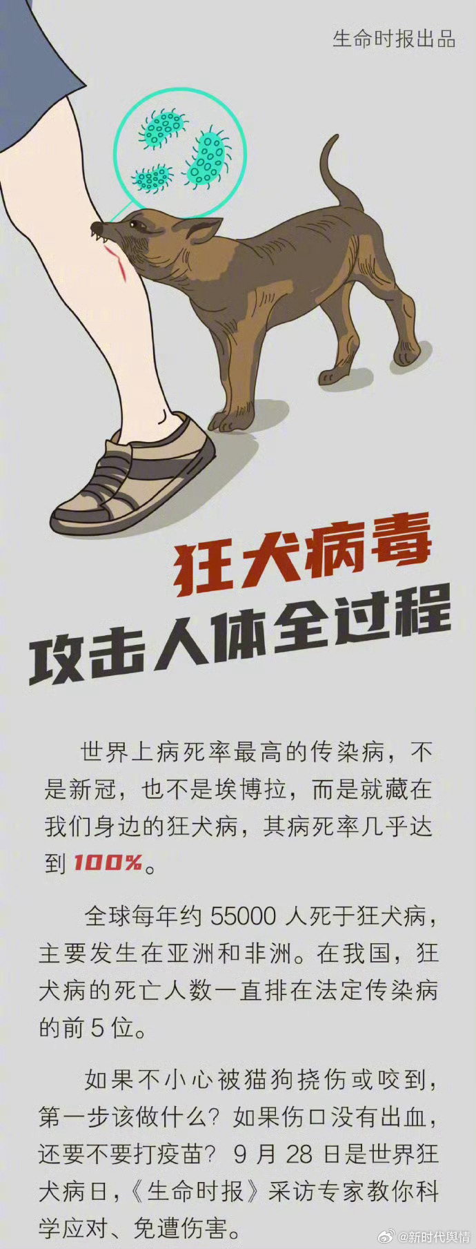 怕狗的人遇到狗时的正确做法