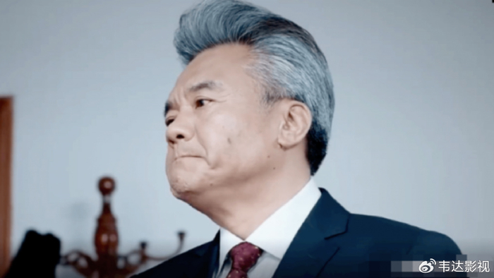 2,选角和造型太失败,省委书记梳着公鸡头