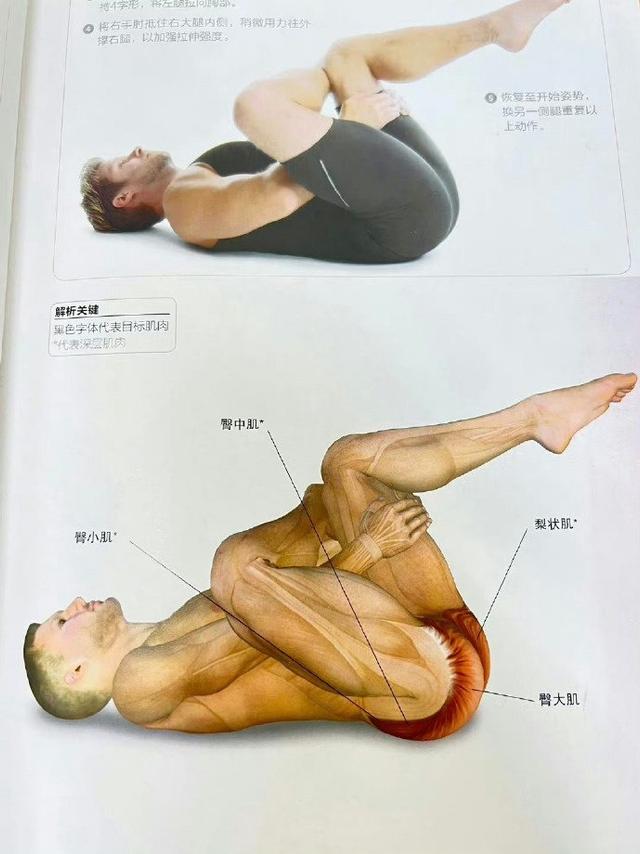 据说这叫一套动作叫最伟大的拉伸