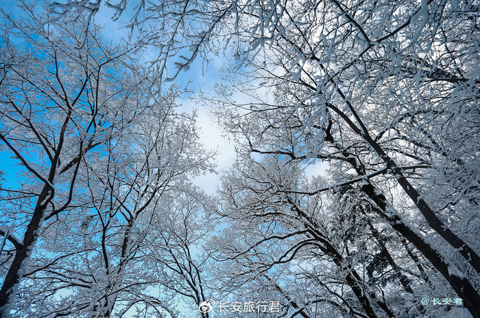 wpe封包手机版安卓游戏下载 美食大战老鼠枫叶辅助wpe使用步骤