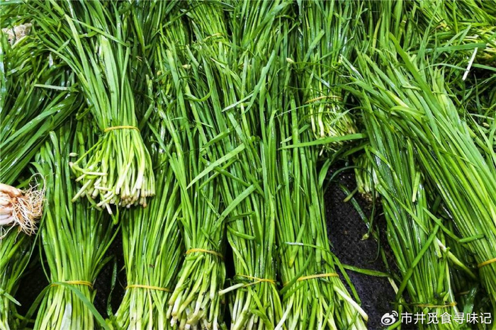 春天吃韭菜,"紫根"和"白根"差别大了!哪种好?建议多了解|韭菜_新浪新