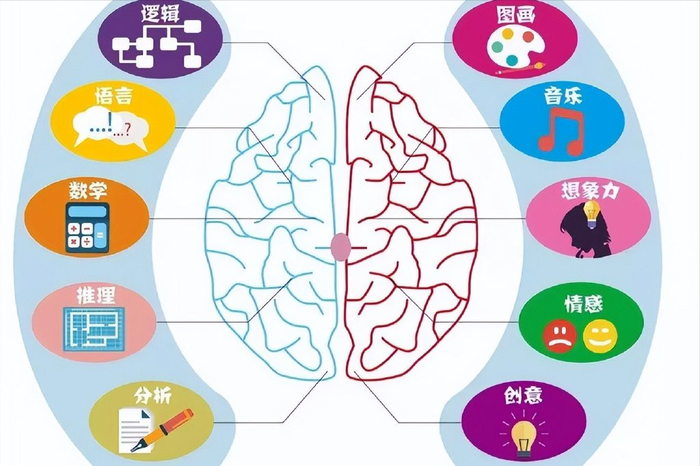 严重缺乏逻辑思维的孩子,大都有四个表现,小学家长尤其要警惕